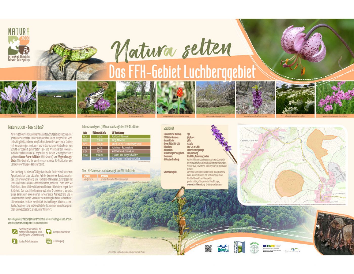 tl_files/downloads/Bilder Projekte/Projektstellen/Natura 2000 1.0/Tafeln/Tafel_Luchberggebiet.jpg